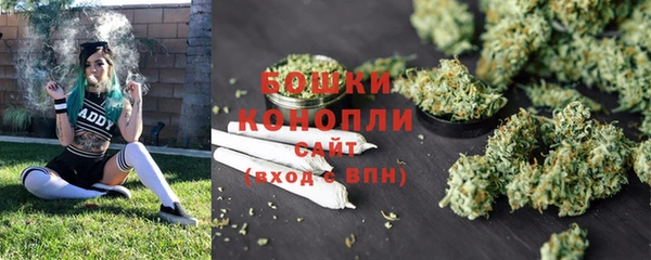 твердый Белокуриха