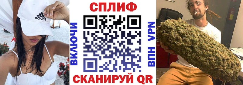 Купить где  Микунь  Конопля White Widow 